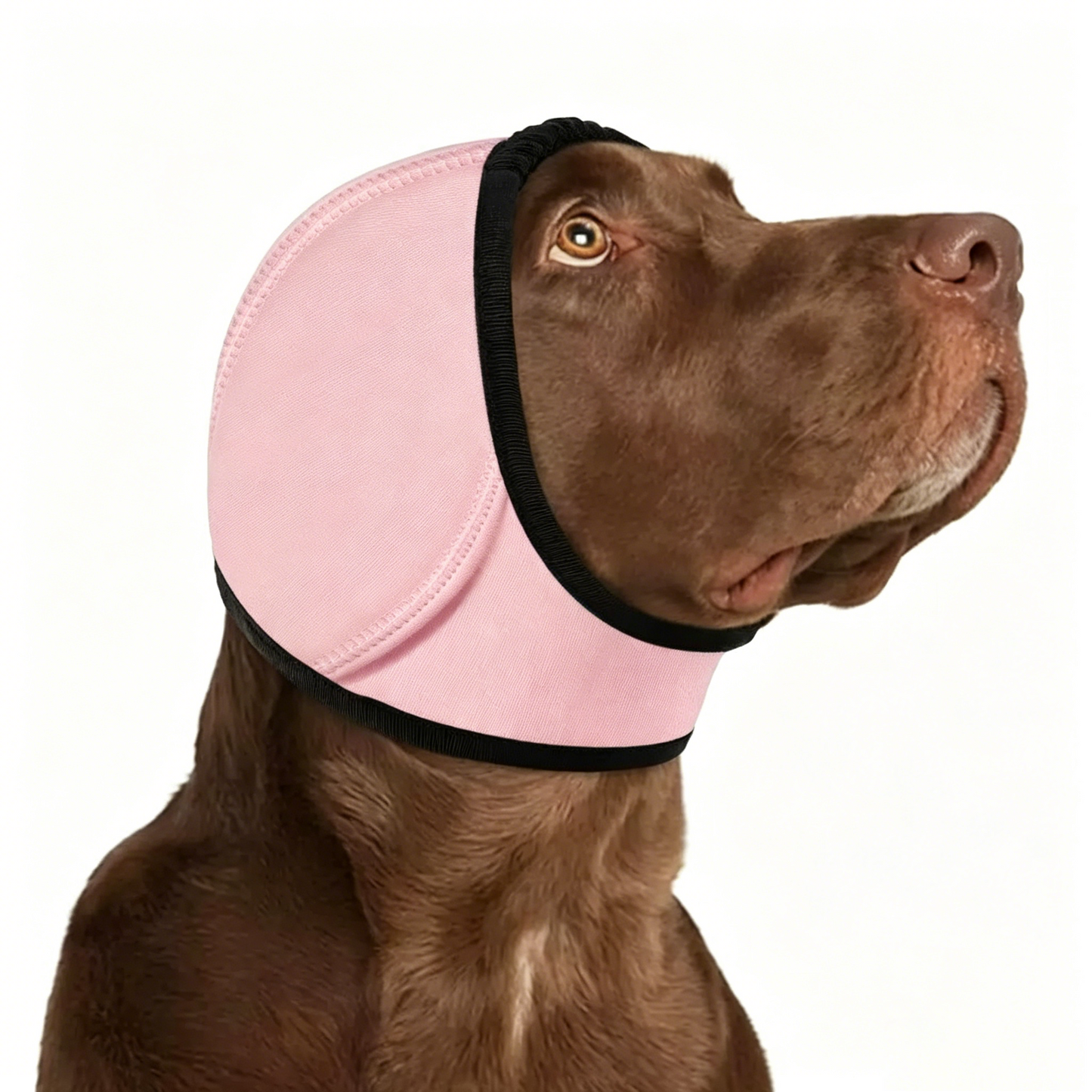 Dog Calming Ear Wrap