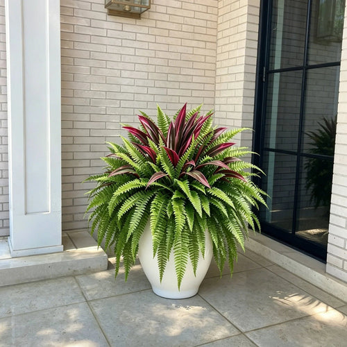 ⏰Summer Limited Stock 60% OFF🔥UV-Resistant Artificial Fern & Red Dracaena Decorative Plants – Full, Lush & Fade-Resistant!