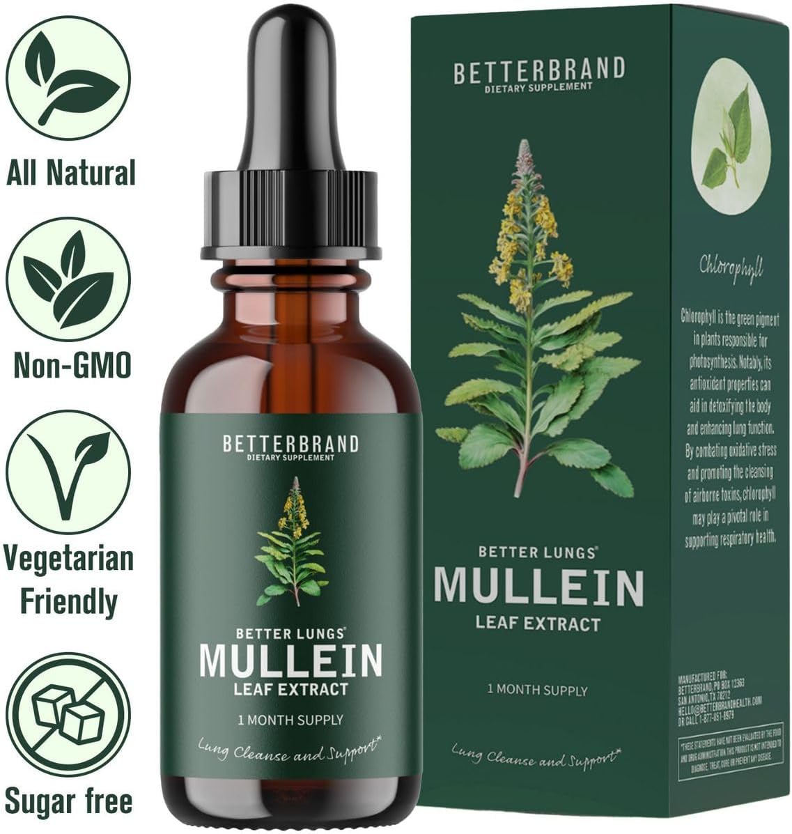 BetterLungs Mullein Drops for Lung Detox - Mullein Leaf Tincture with Chlorophyll