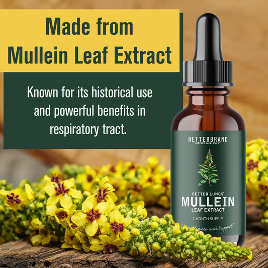 BetterLungs Mullein Drops for Lung Detox - Mullein Leaf Tincture with Chlorophyll