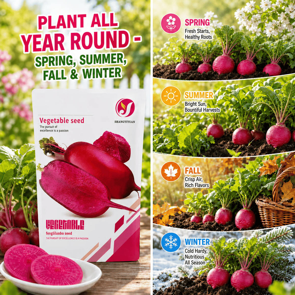 ☀️🌱Pineapple Radish Seeds, Red Skin Red Flesh Sweet Crispy Fruit Radish Seeds