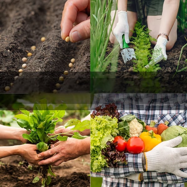 🔥LAST DAY 60% OFF🥦Ultimate Survival Seed Vault (15,000+ Seeds) | 35 Variety Pack🌿|