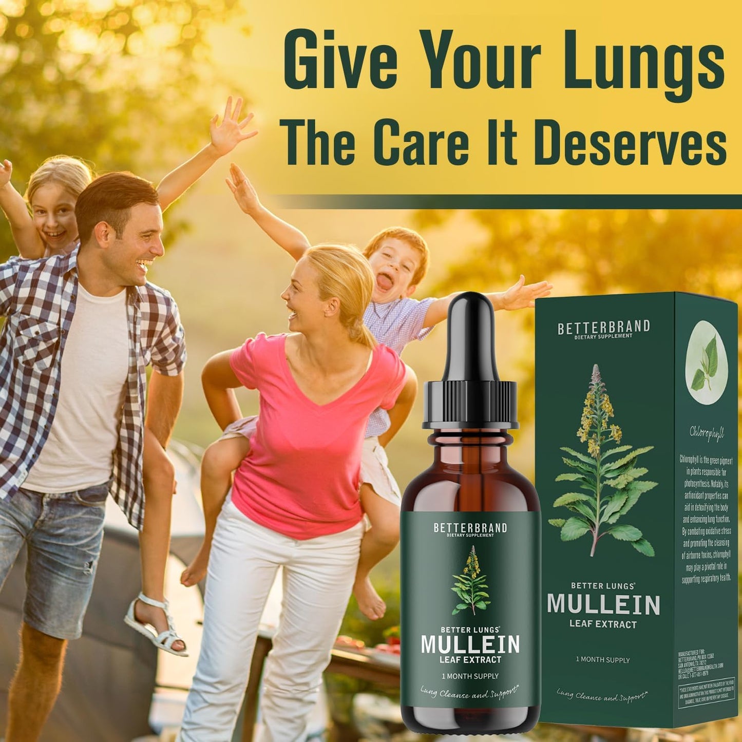BetterLungs Mullein Drops for Lung Detox - Mullein Leaf Tincture with Chlorophyll
