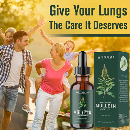 BetterLungs Mullein Drops for Lung Detox - Mullein Leaf Tincture with Chlorophyll