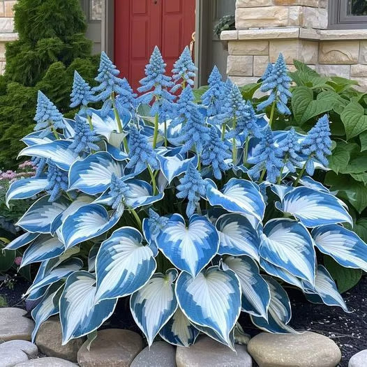 Celestial Blue