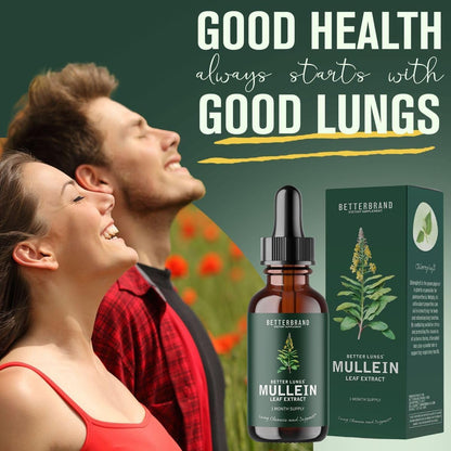 BetterLungs Mullein Drops for Lung Detox - Mullein Leaf Tincture with Chlorophyll