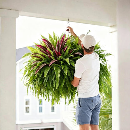 ⏰Summer Limited Stock 60% OFF🔥UV-Resistant Artificial Fern & Red Dracaena Decorative Plants – Full, Lush & Fade-Resistant!