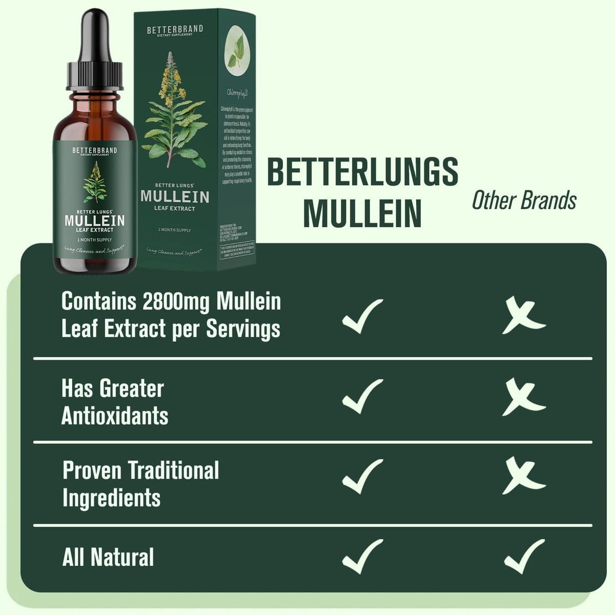 BetterLungs Mullein Drops for Lung Detox - Mullein Leaf Tincture with Chlorophyll