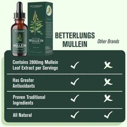 BetterLungs Mullein Drops for Lung Detox - Mullein Leaf Tincture with Chlorophyll