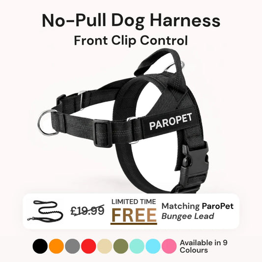 ParoPet No-Pull Dog Harness | Front Clip Control Adjustable Pet Vest