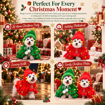 😱 "Don't let a SMALL DOG MOM see this..." 🥺🎄🐶 Christmas Tree Dog Cloak!