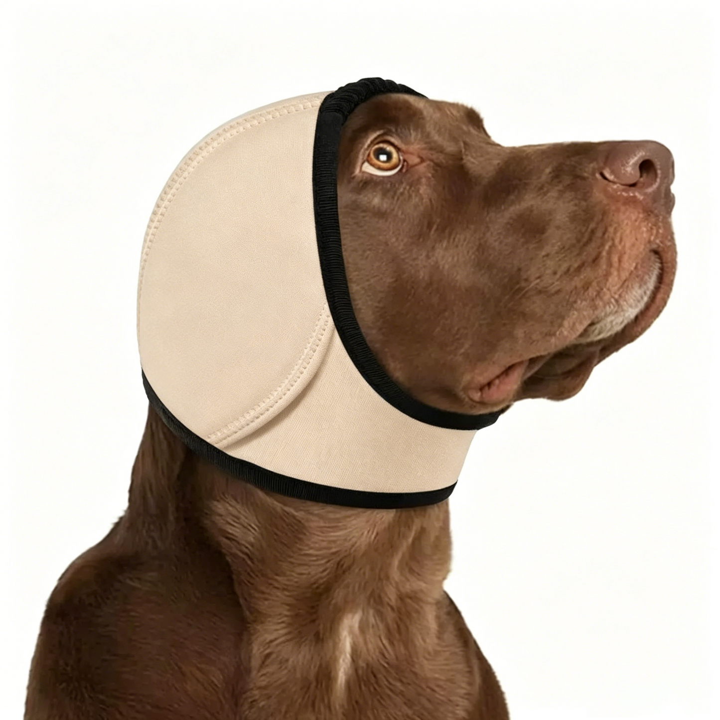 Dog Calming Ear Wrap