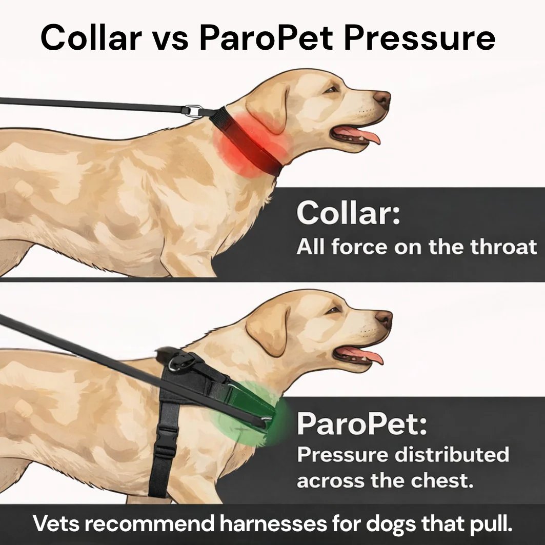 ParoPet No-Pull Dog Harness | Front Clip Control Adjustable Pet Vest