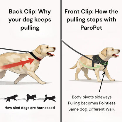 ParoPet No-Pull Dog Harness | Front Clip Control Adjustable Pet Vest