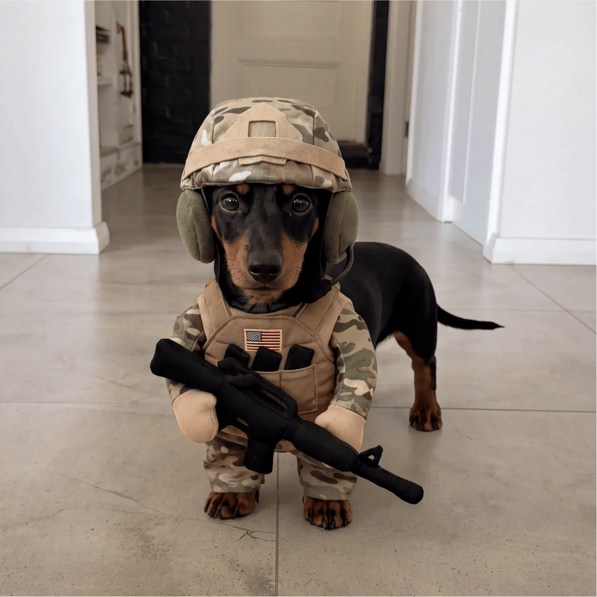 🔥pet-tactical-soldier-uniform