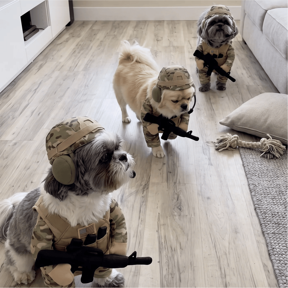 🔥pet-tactical-soldier-uniform