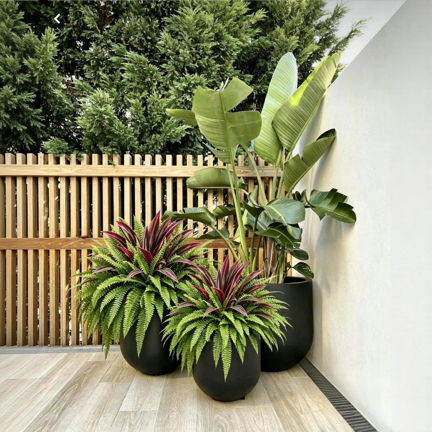 ⏰Summer Limited Stock 60% OFF🔥UV-Resistant Artificial Fern & Red Dracaena Decorative Plants – Full, Lush & Fade-Resistant!