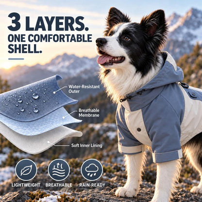🐶 LIMITED-TIME 50% OFF! ☔ Waterproof Colorblock Dog Raincoat – Windproof, Breathable, Full Protection ✨