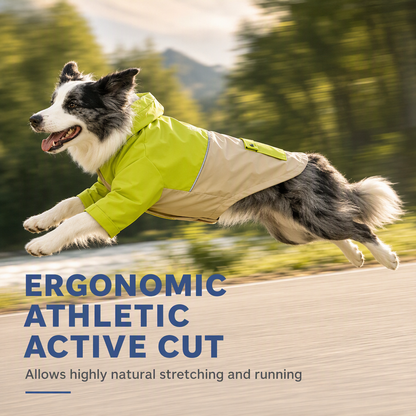 🐶 LIMITED-TIME 50% OFF! ☔ Waterproof Colorblock Dog Raincoat – Windproof, Breathable, Full Protection ✨